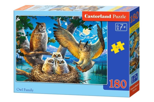 Dėlionė Castorland Owl Family, 180 dalių paveikslėlis 1 iš 1