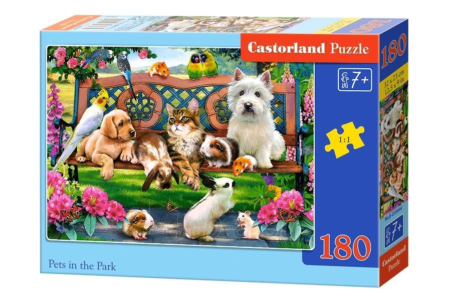 Dėlionė Castorland Pets in the park, 180 dalių paveikslėlis 1 iš 1