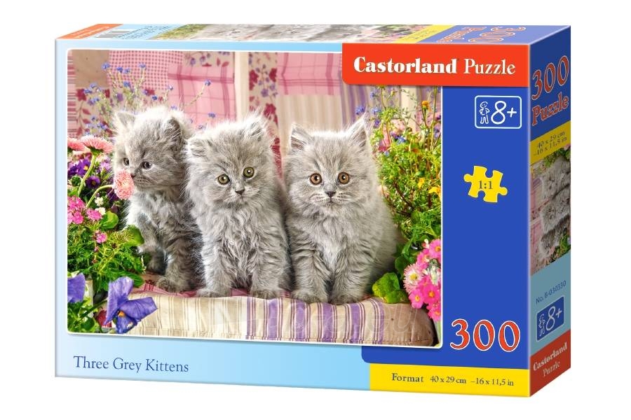 Dėlionė Castorland Three Grey Kittens, 300 dalių paveikslėlis 1 iš 1