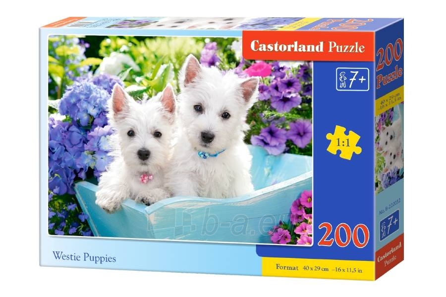 Dėlionė Castorland Westie Puppies, 200 dalių paveikslėlis 1 iš 1