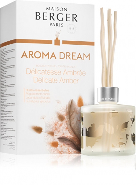 Difuzorius Maison Berger Paris Dream Fine Amber Delicate Amber 180 ml paveikslėlis 1 iš 3