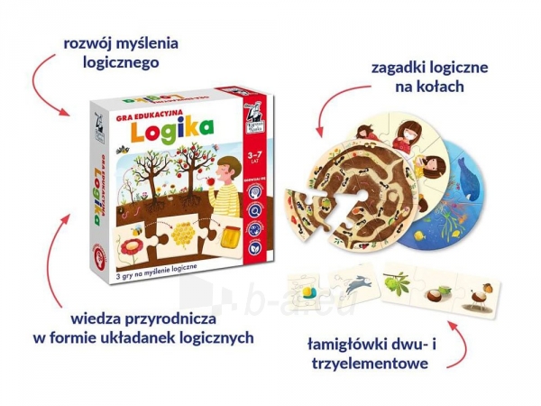 Edukacinis žaidimas-dėlionė - Logika paveikslėlis 2 iš 14