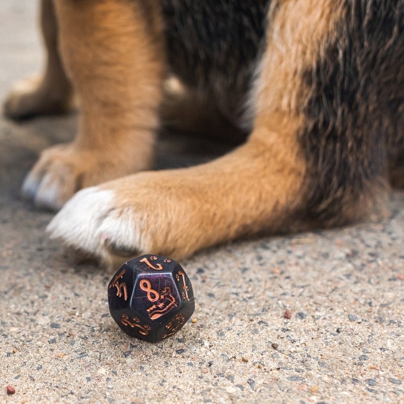 Kauliukų rinkinys DOGS Dice Set: Luna paveikslėlis 5 iš 7