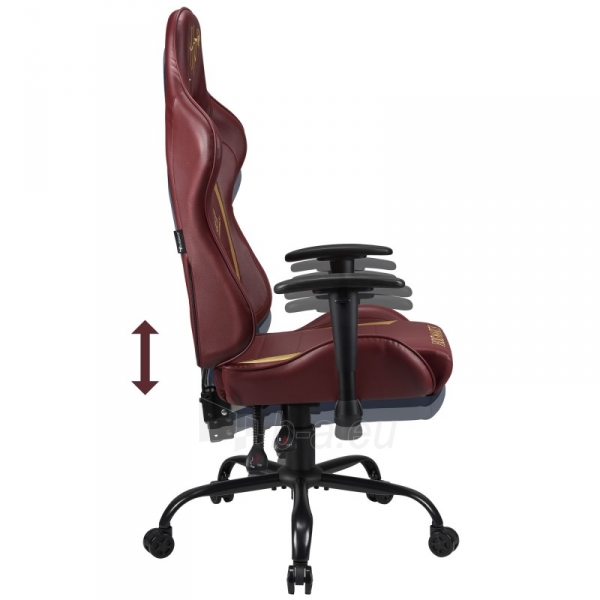 Kėdė Subsonic Pro Gaming Seat Harry Potter paveikslėlis 5 iš 10