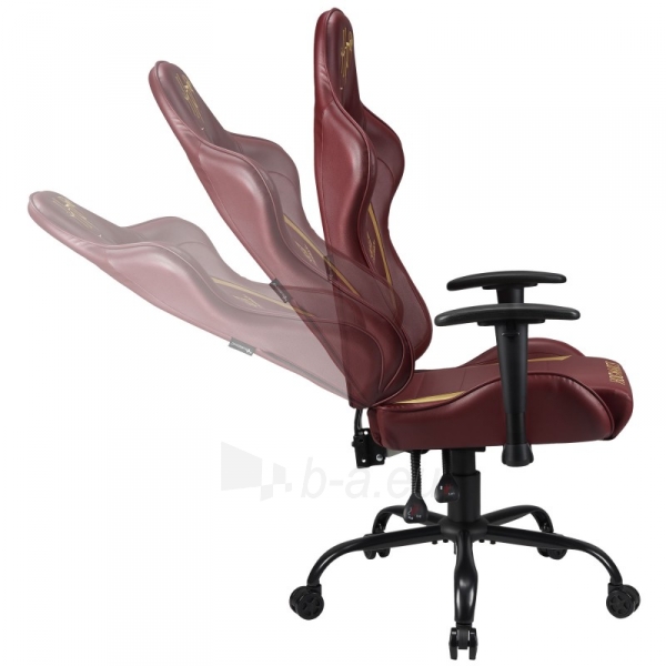 Kėdė Subsonic Pro Gaming Seat Harry Potter paveikslėlis 4 iš 10