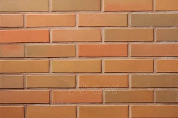 Perforated facing bricks Rudite 11.131100L paveikslėlis 2 iš 2