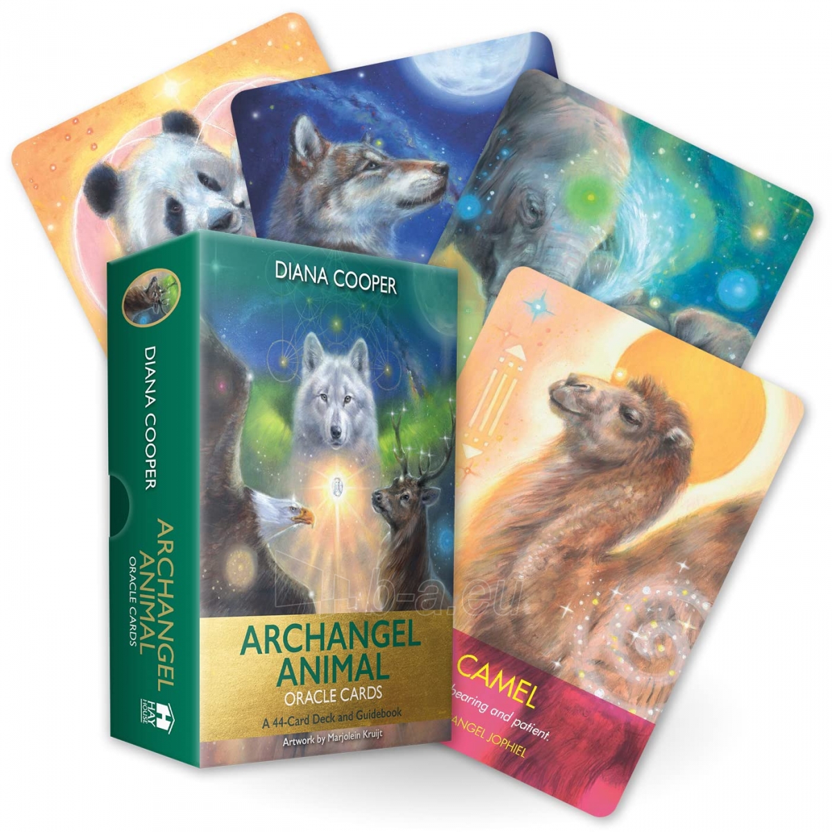 Kortos Archangel Animal Oracle Hay House paveikslėlis 1 iš 8