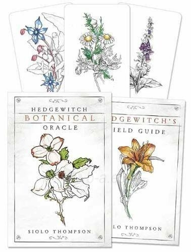 Kortos Hedgewitch Botanical Oracle paveikslėlis 2 iš 7