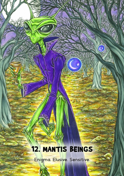 Kortos Mystic Martian Oracle paveikslėlis 7 iš 9