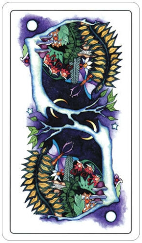 Kortos Taro Tarot Of A Moon Garden paveikslėlis 12 iš 14