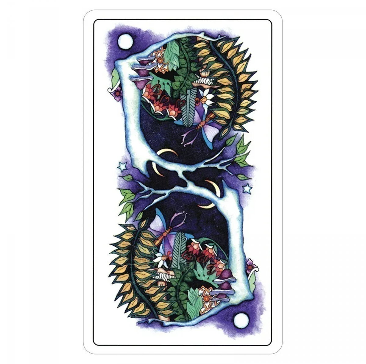 Kortos Taro Tarot Of A Moon Garden paveikslėlis 4 iš 14