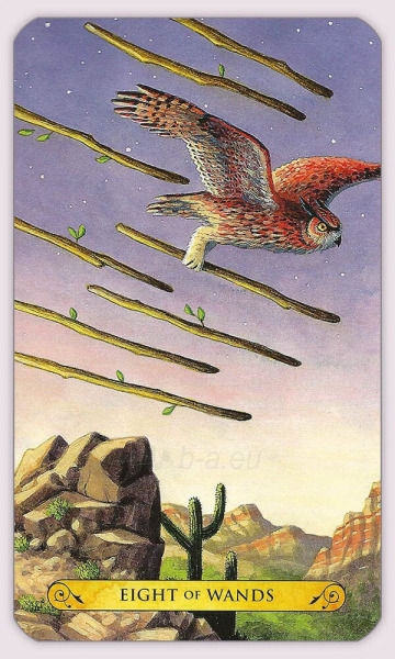 Kortos Tarot of the owls Llewellyn paveikslėlis 10 iš 12