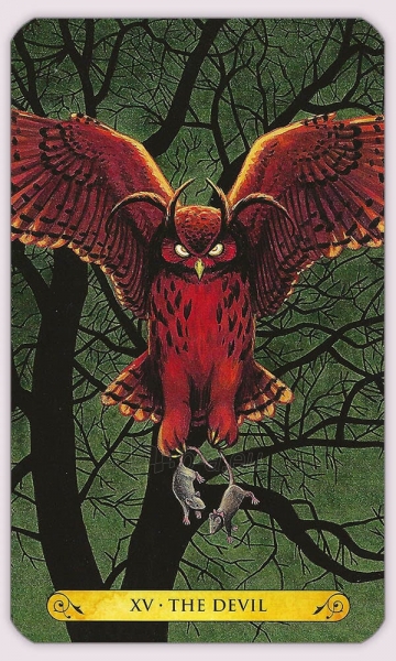 Kortos Tarot of the owls Llewellyn paveikslėlis 6 iš 12