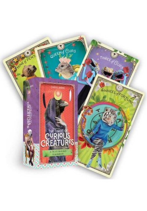 Kortos The Tarot of Curious Creatures Hay House paveikslėlis 1 iš 13