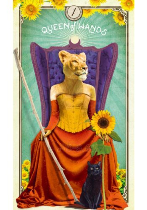 Kortos The Tarot of Curious Creatures Hay House paveikslėlis 4 iš 13