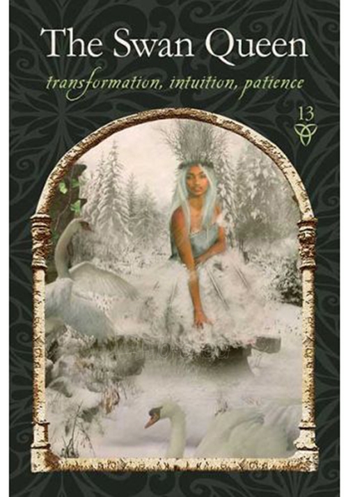 Kortos Wisdom of the Hidden Realms Oracle Hay House paveikslėlis 7 iš 10