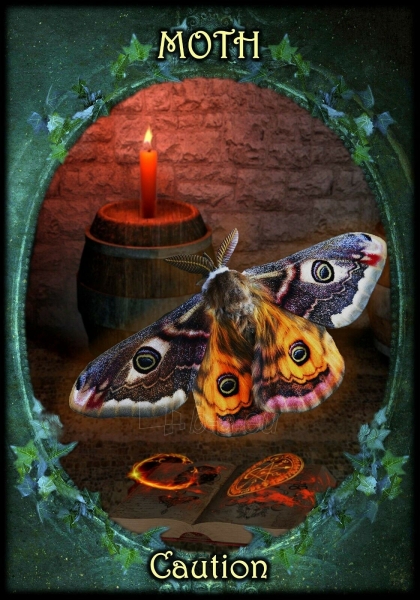 Kortos Witches Familiars Oracle Kortos paveikslėlis 6 iš 6