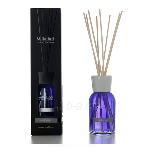 Kvapas namams Millefiori Milano Aroma diffuser Natu ral Cold water 100 ml paveikslėlis 1 iš 1