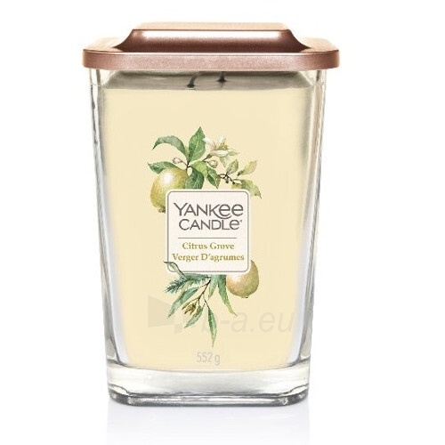 Kvapni žvakė Yankee Candle large Citrus Grove 552 g paveikslėlis 1 iš 1