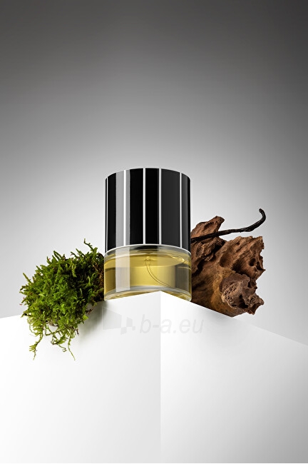 Kvepalai N.C.P. Olfactives 701 Leather & Vetiver - EDP - 10 ml paveikslėlis 3 iš 4