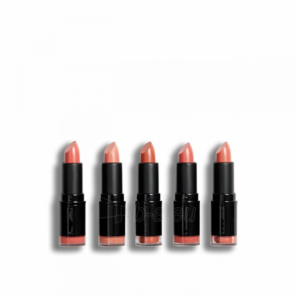 Lūpų dažai Revolution PRO Nudes lipstick set ( Lips tick Collection) 5 x 3.2 g paveikslėlis 1 iš 4