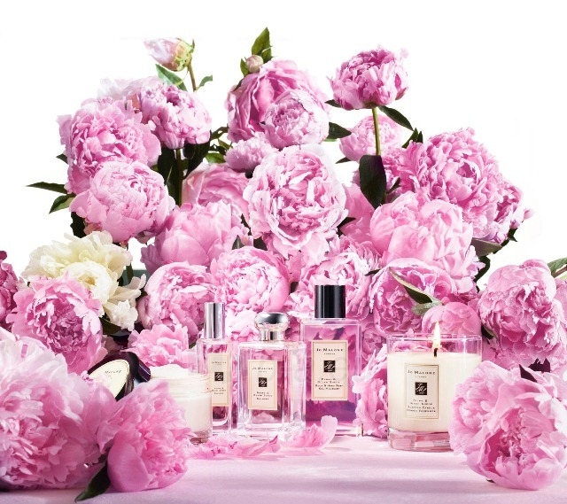 Odekolonas Jo Malone Peony & Blush Suede - EDC - 50 ml (be pakuotės) paveikslėlis 3 iš 4