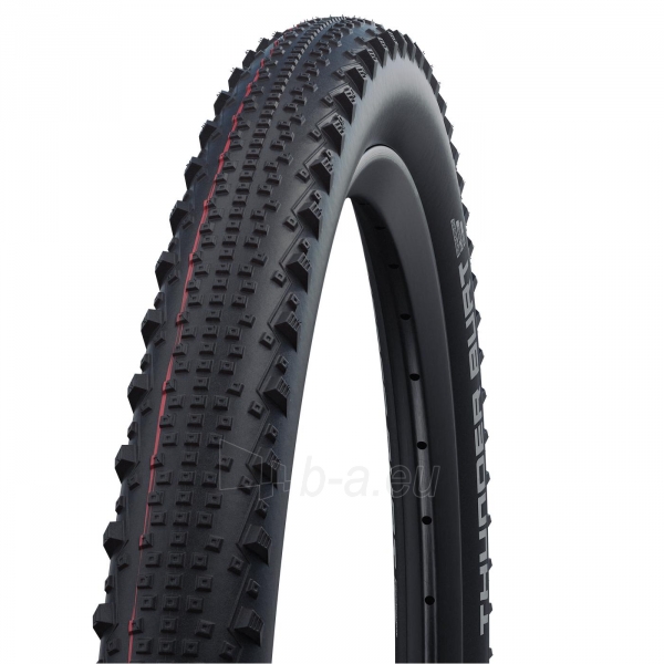 Padanga 29 Schwalbe Thunder Burt HS 451, Evo Fold. 54-622 Super Ground Addix Speed paveikslėlis 1 iš 1