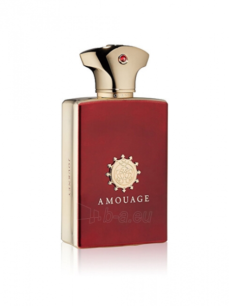 Parfumuotas vanduo Amouage Journey Man - EDP - 50 ml paveikslėlis 1 iš 1