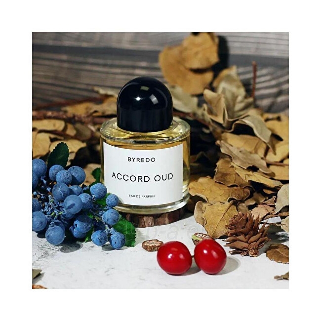 Parfumuotas vanduo Byredo Accord Oud EDP 100ml paveikslėlis 3 iš 4