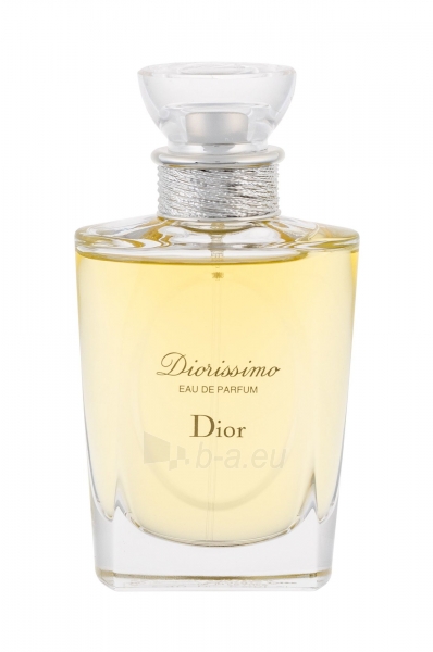 monsieur dior