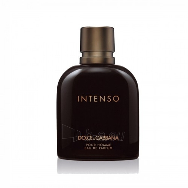 dolce & gabbana pour homme intenso edp