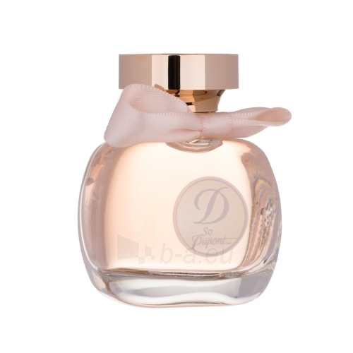 Parfumuotas vanduo Dupont So Dupont EDP 50ml paveikslėlis 1 iš 1