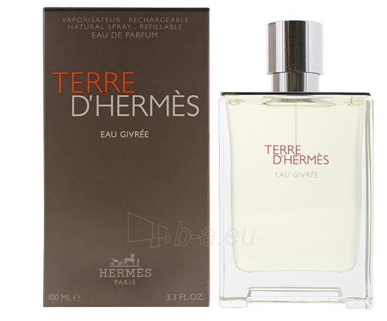 Eau de toilette Hermes Terre d`Hermès Eau Givrée EDP (užpildomas) 100 ml paveikslėlis 1 iš 2