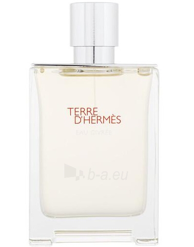 Eau de toilette Hermes Terre d`Hermès Eau Givrée EDP (užpildomas) 100 ml paveikslėlis 2 iš 2