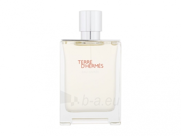 Parfimērijas ūdens Hermes Terre d´Hermes Eau Givrée Eau de Parfum Refillable 100ml paveikslėlis 1 iš 1