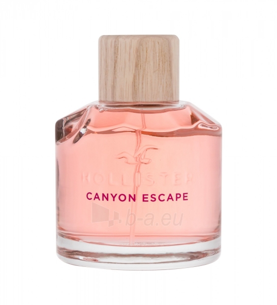 Perfumed water Hollister Canyon Escape EDP 100ml paveikslėlis 1 iš 1