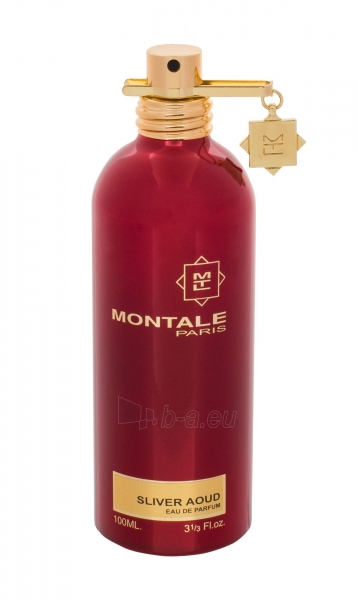 Parfimērijas ūdens Montale Paris Sliver Aoud Eau de Parfum 100ml (testeris) paveikslėlis 1 iš 1