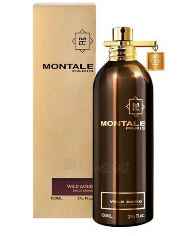 Parfimērijas ūdens Montale Paris Wild Aoud EDP 100ml paveikslėlis 1 iš 2