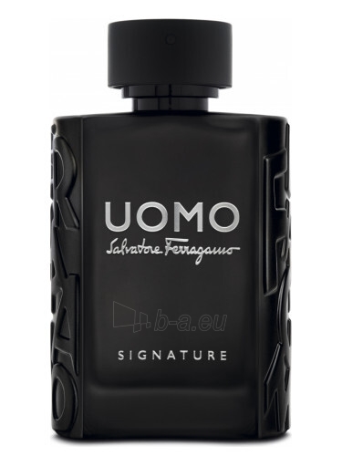 Parfumuotas vanduo Salvatore Ferragamo Uomo Signature EDP 100 ml paveikslėlis 1 iš 2