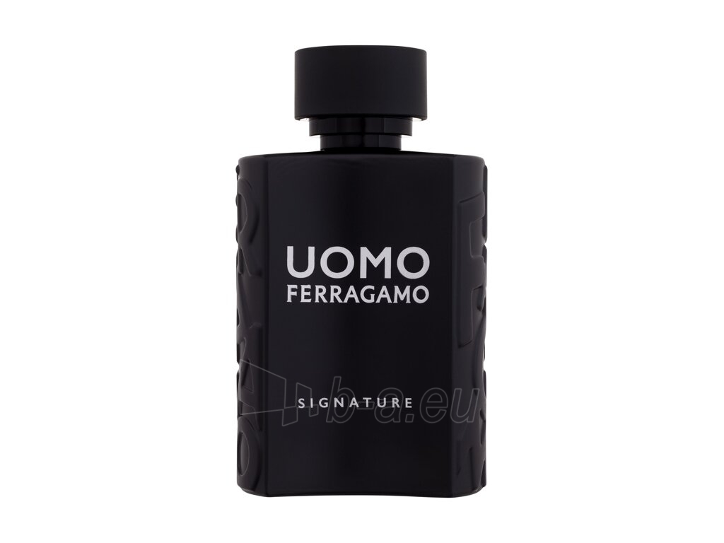 Parfumuotas vanduo Salvatore Ferragamo Uomo Signature EDP 100 ml paveikslėlis 1 iš 1