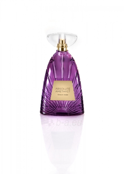 Parfumuotas vanduo Thalia Sodi Absolute Amethyst EDP 100ml paveikslėlis 1 iš 1