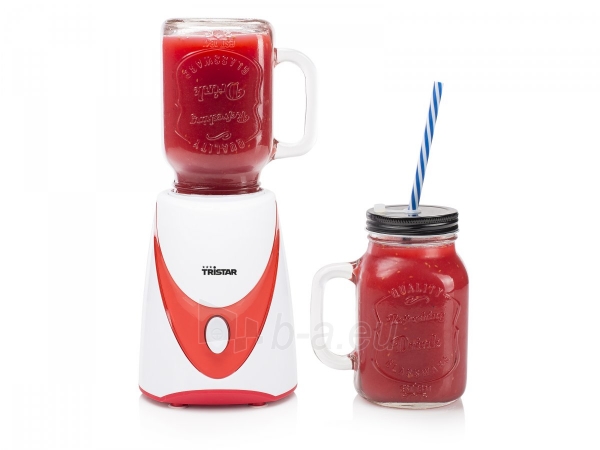 Tristar BL-4456 Mason jar blender 