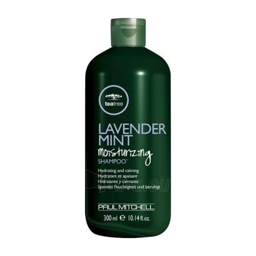 Plaukų šampūnas Paul Mitchell Moisturizing and Soothing Shampoo for Dry Hair Tea Tree (Lavender Mint Shampoo) 75 ml paveikslėlis 1 iš 1