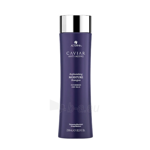 Šampūnas Alterna Caviar Anti-Aging Caviar (Replenishing Moisture Shampoo) - 40 ml paveikslėlis 1 iš 3