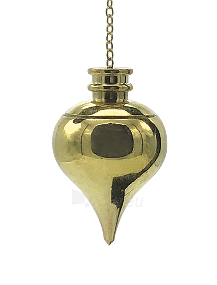 Švytuoklė Classic Brass Chamber Pendulum paveikslėlis 1 iš 2