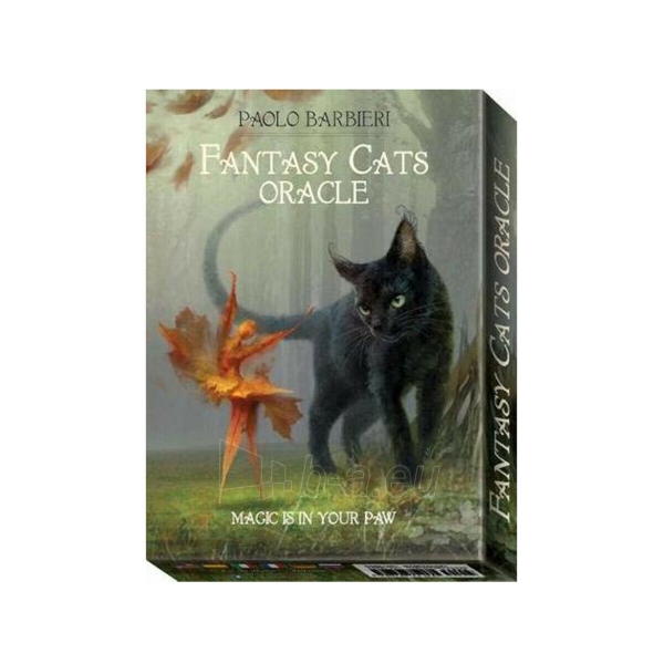 Taro kortos Barbieri Fantasy Cats Oracle Lo Scarabeo paveikslėlis 6 iš 7