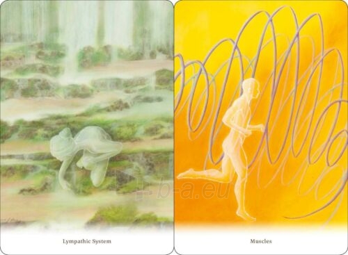 Taro kortos Body healing Cards kortos Schiffer Publishing paveikslėlis 12 iš 13