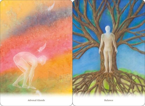 Taro kortos Body healing Cards kortos Schiffer Publishing paveikslėlis 8 iš 13