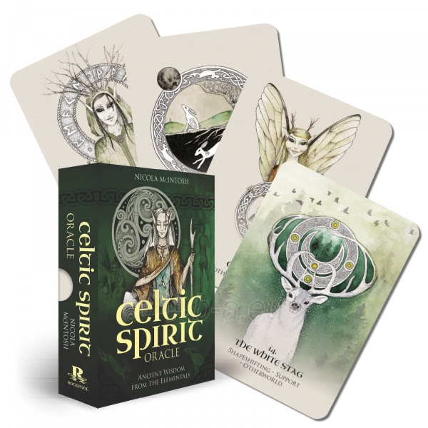 Taro kortos Celtic Spirit Oracle kortos Rockpool paveikslėlis 1 iš 13