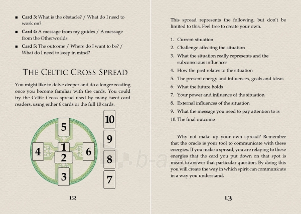 Taro kortos Celtic Spirit Oracle kortos Rockpool paveikslėlis 5 iš 13